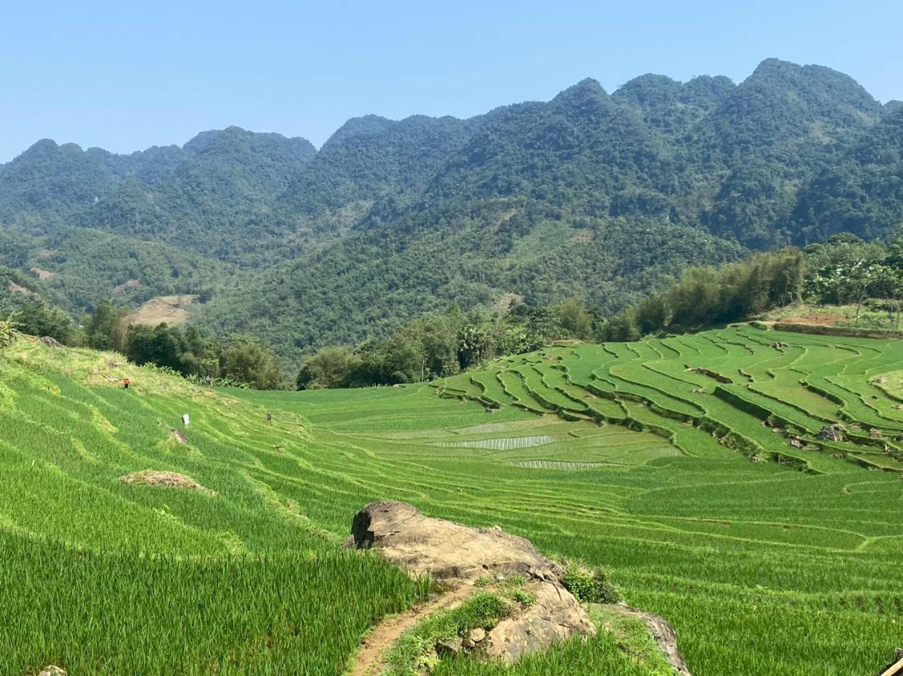 Pu Luong May Home & Cafe Lang Bang Buitenkant foto